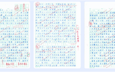 Chinese Composition Assessment
